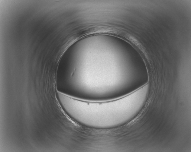 X0000058111377200509230809
