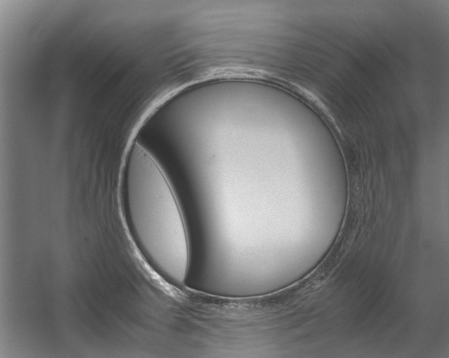 X0000058111379200509230809