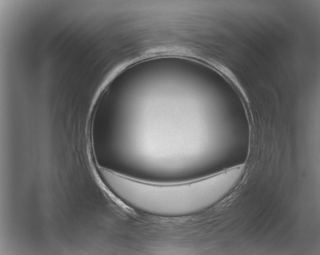 X0000058111389200509230809