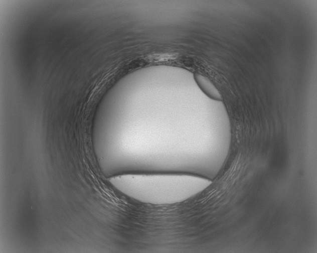 X0000058111393200509230808