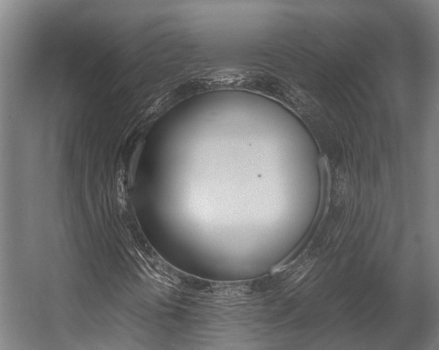 X0000058111394200509230808