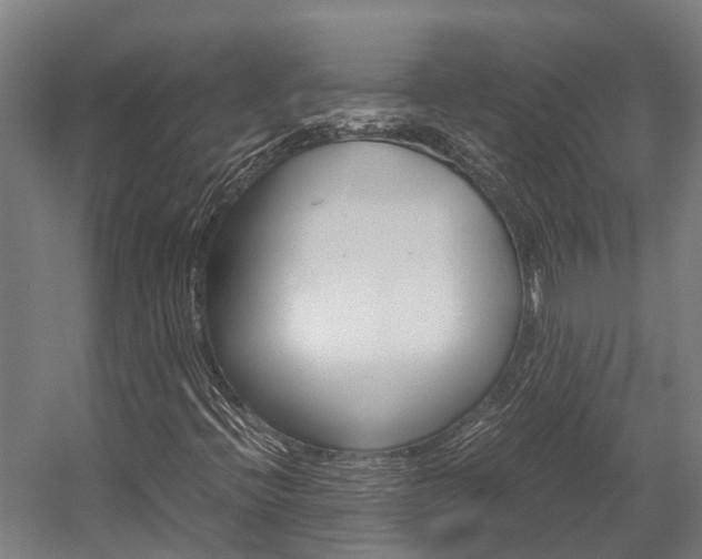 X0000058111396200509230808