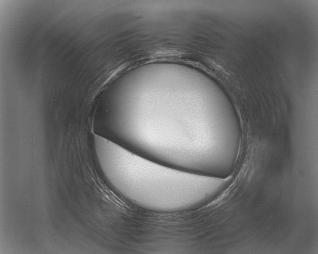 X0000058111401200509230808