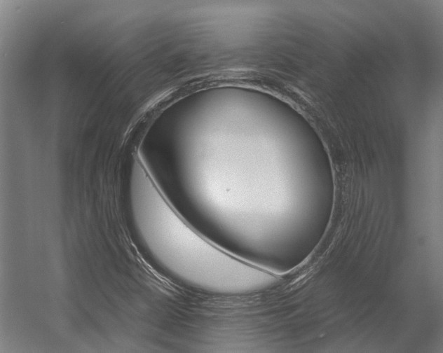 X0000058111402200509230808