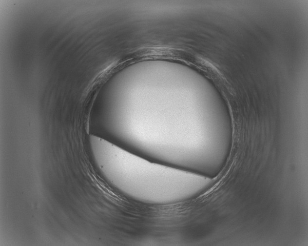 X0000058111403200509230808