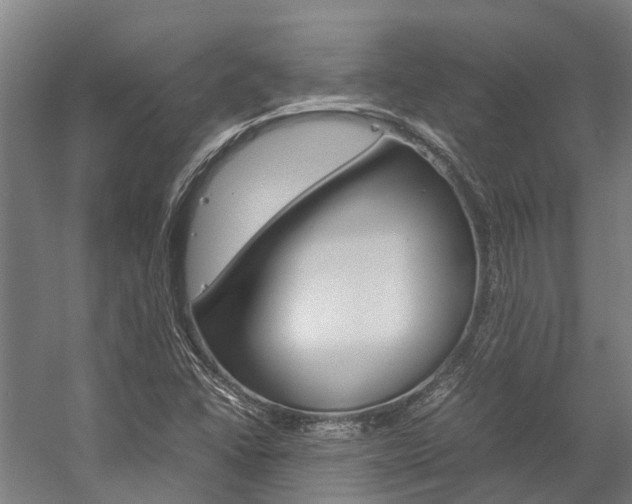 X0000058111406200509230808