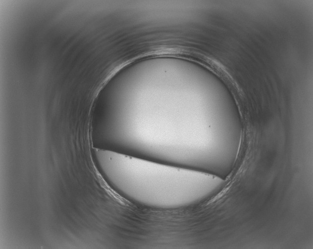 X0000058111417200509230808