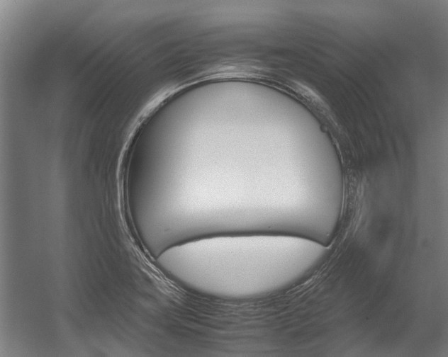 X0000058111419200509230808