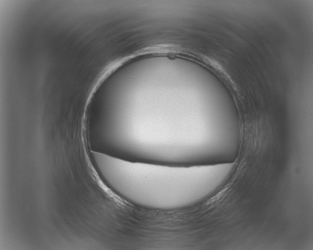 X0000058111421200509230808