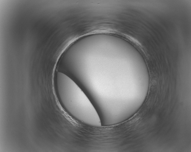 X0000058111423200509230808