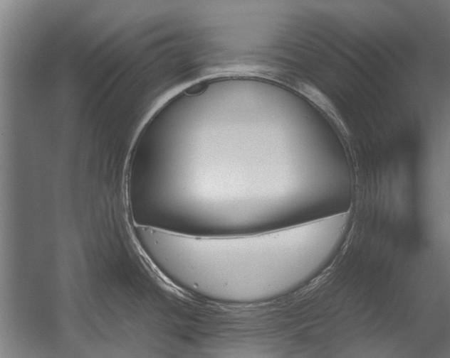 X0000058111436200509230808