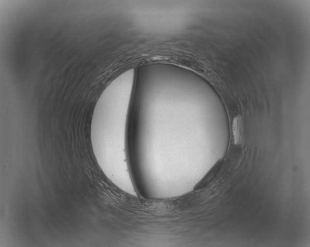 X0000058111443200509230808