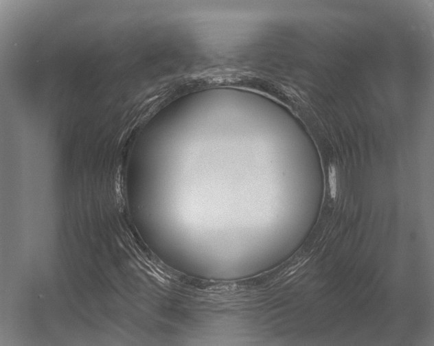 X0000058111444200509230808