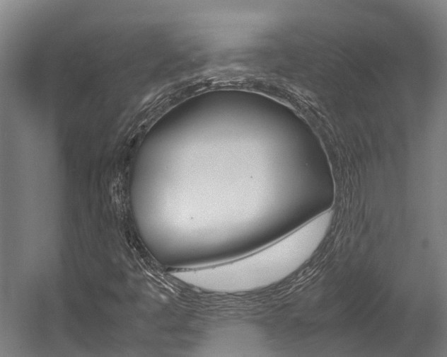 X0000058111445200509230808