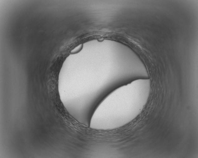 X0000058111447200509230808