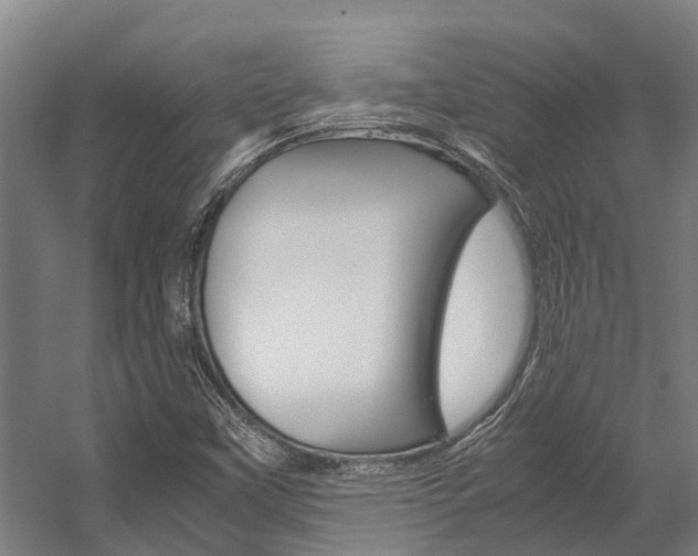 X0000058111451200509230808