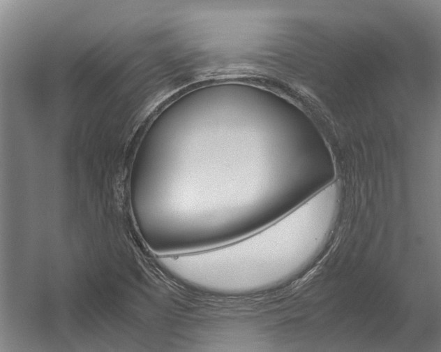 X0000058111457200509230807