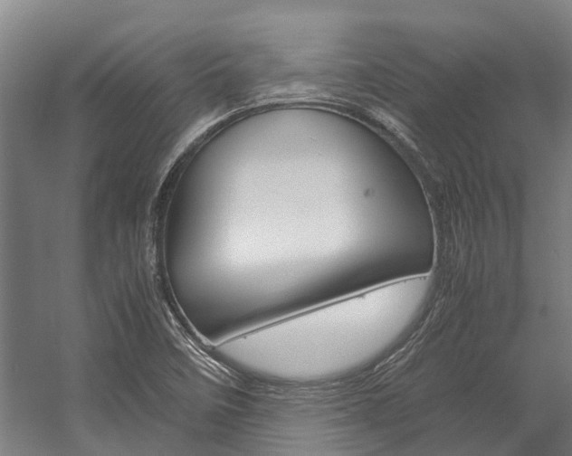 X0000058111458200509230807