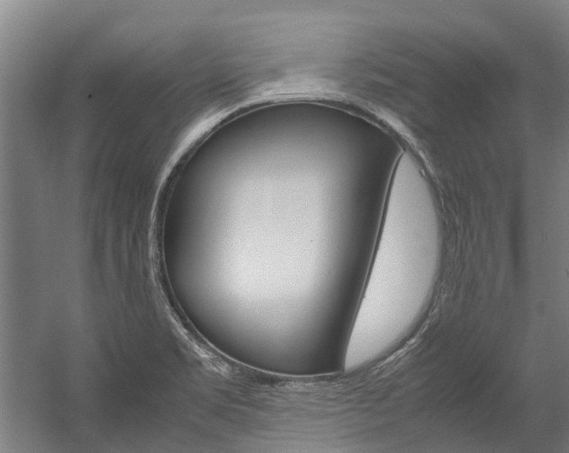 X0000058111469200509230807