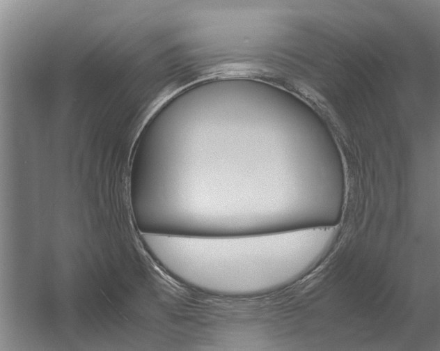 X0000058111473200509230807