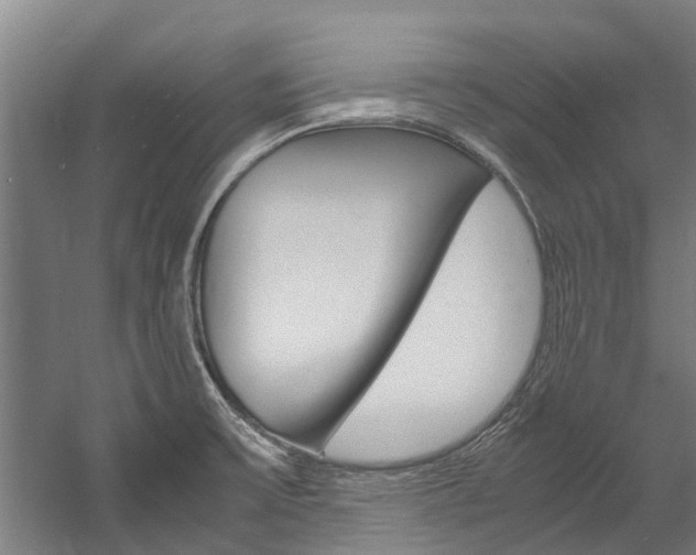 X0000058111475200509230807
