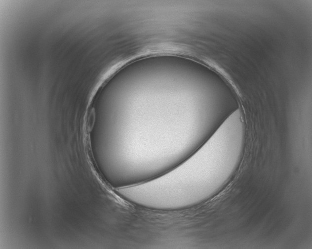 X0000058111477200509230807
