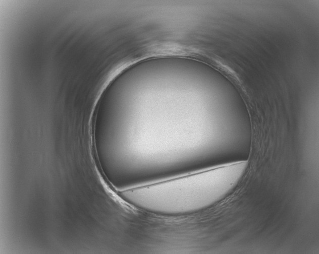 X0000058111479200509230807