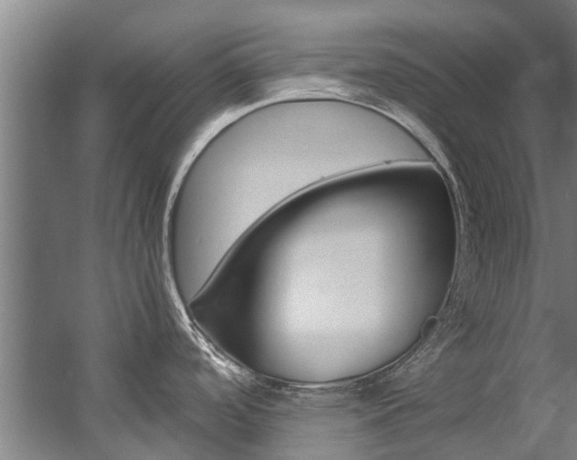 X0000058111488200509230807