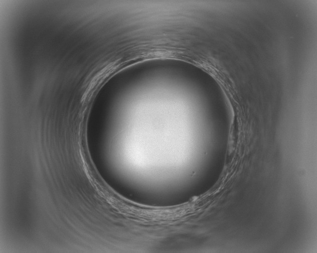 X0000058110001200509231038