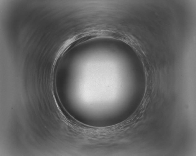 X0000058110003200509231038