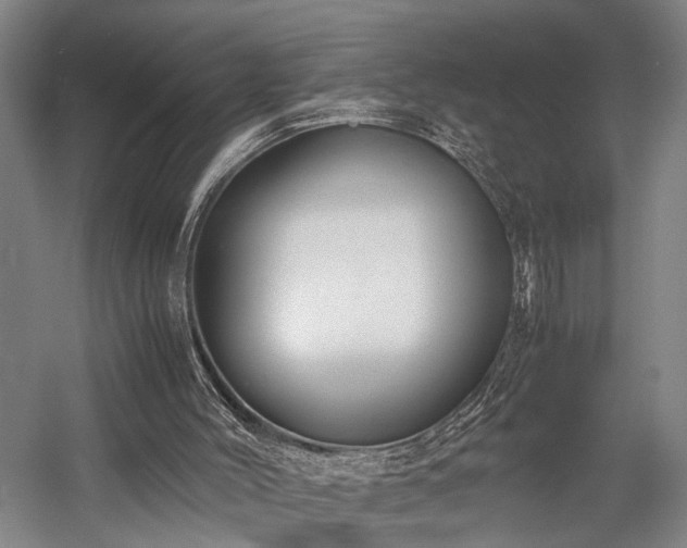 X0000058110004200509231038
