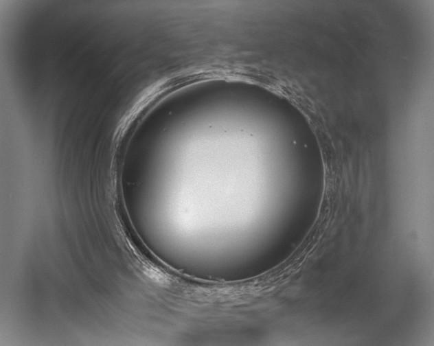 X0000058110005200509231038