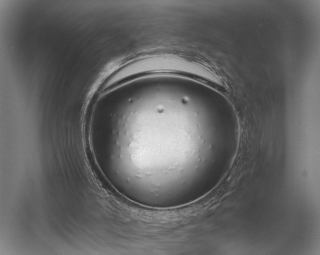 X0000058110006200509231038