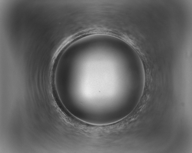 X0000058110007200509231038