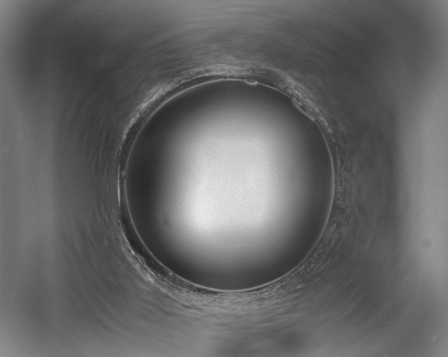X0000058110011200509231038