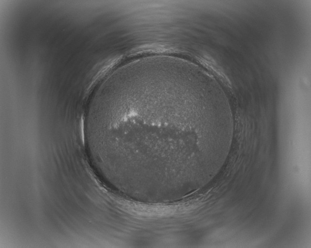 X0000058110014200509231038