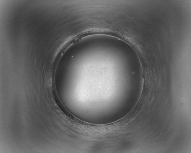 X0000058110015200509231038