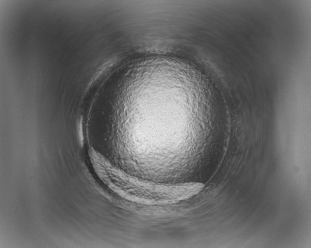 X0000058110020200509231038
