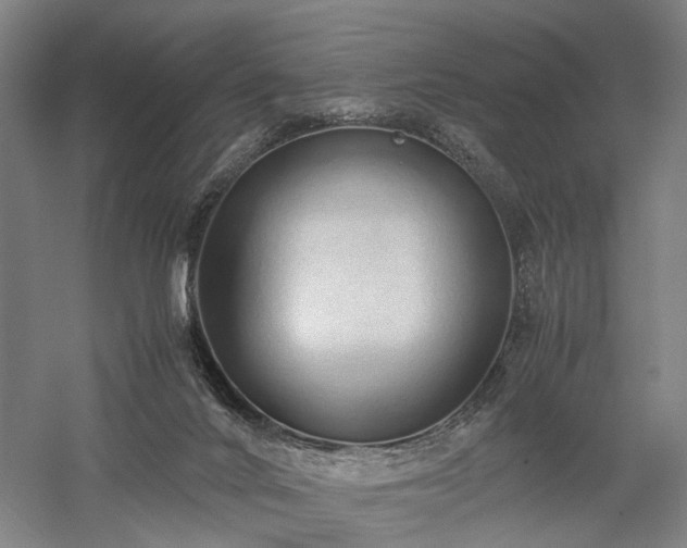 X0000058110024200509231038