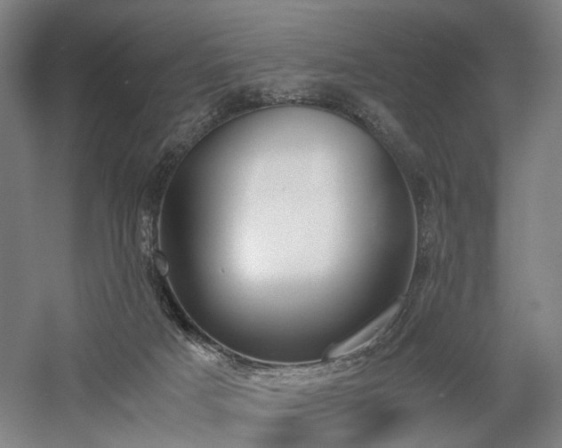 X0000058110025200509231038