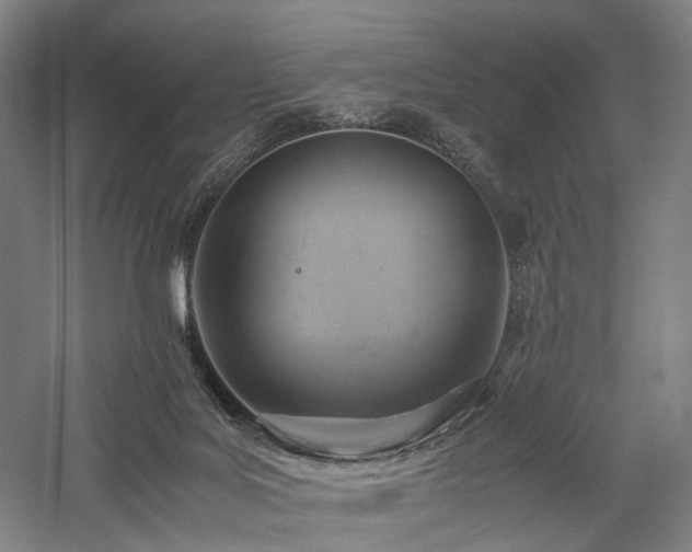 X0000058110027200509231038