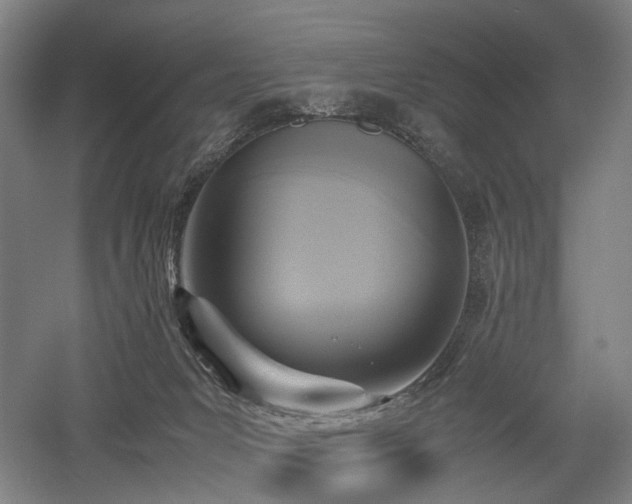 X0000058110031200509231038