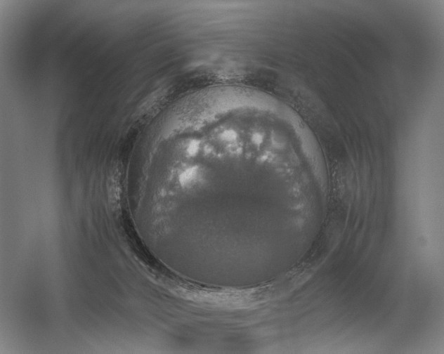 X0000058110032200509231038