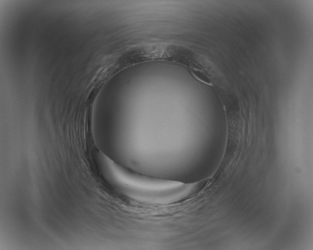 X0000058110035200509231038