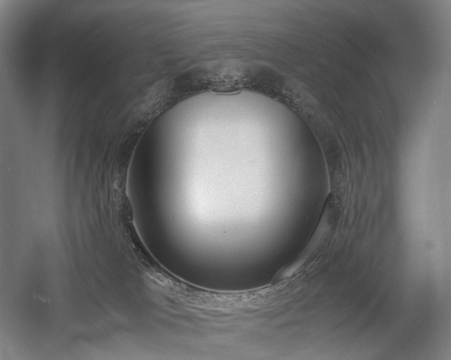 X0000058110037200509231037