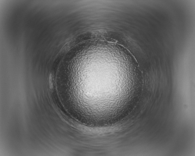 X0000058110038200509231037