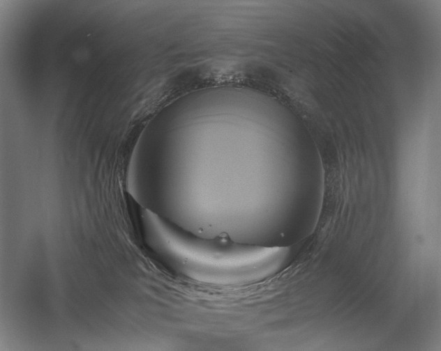 X0000058110039200509231037
