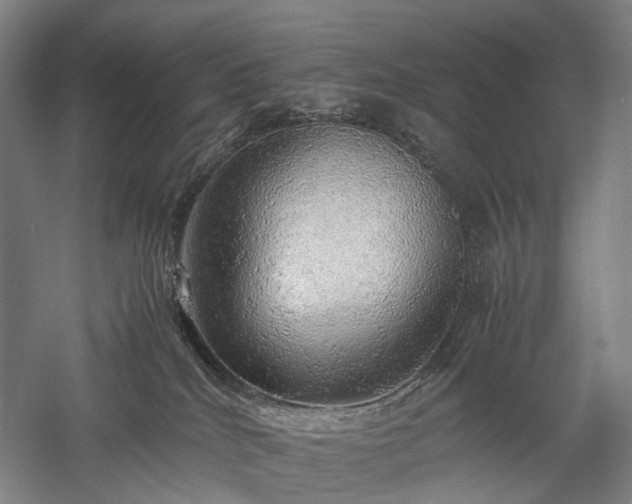 X0000058110040200509231037