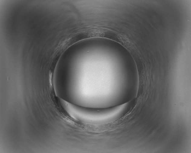 X0000058110041200509231037