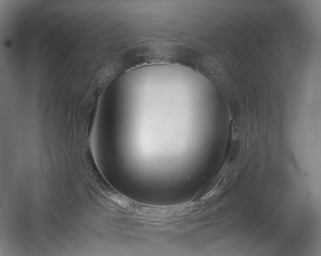 X0000058110045200509231037